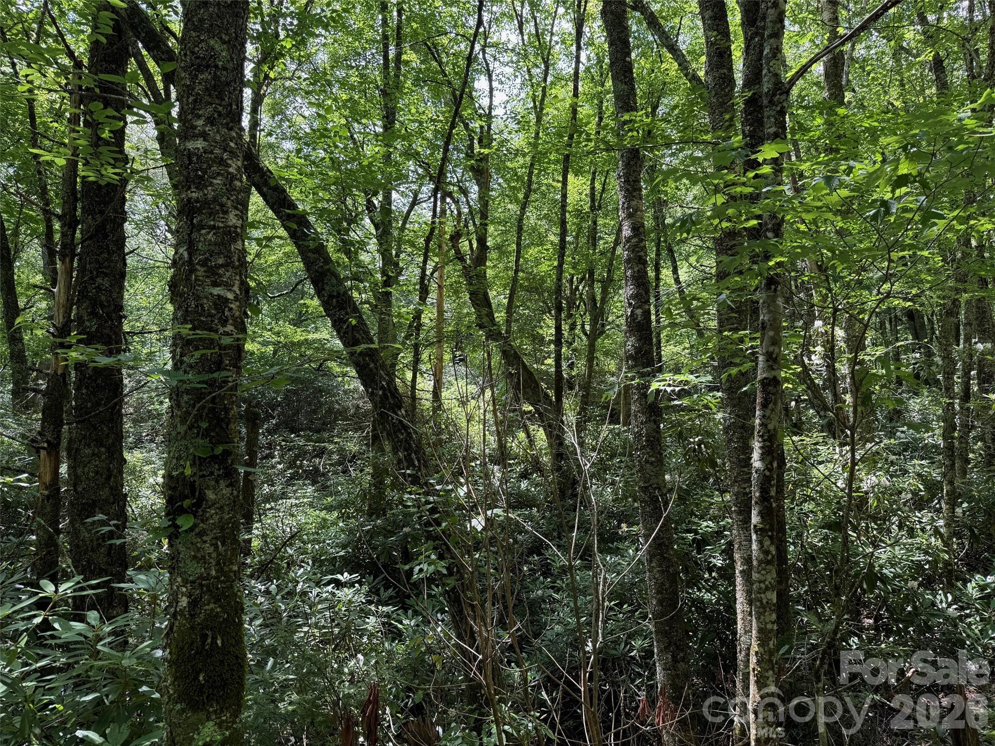 Lot #60 Yonder Trail Maggie Valley NC 28751