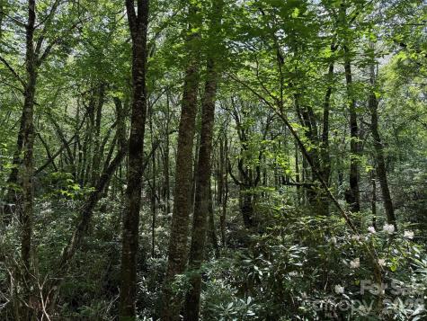 Lot #60 Yonder Trail Maggie Valley NC 28751