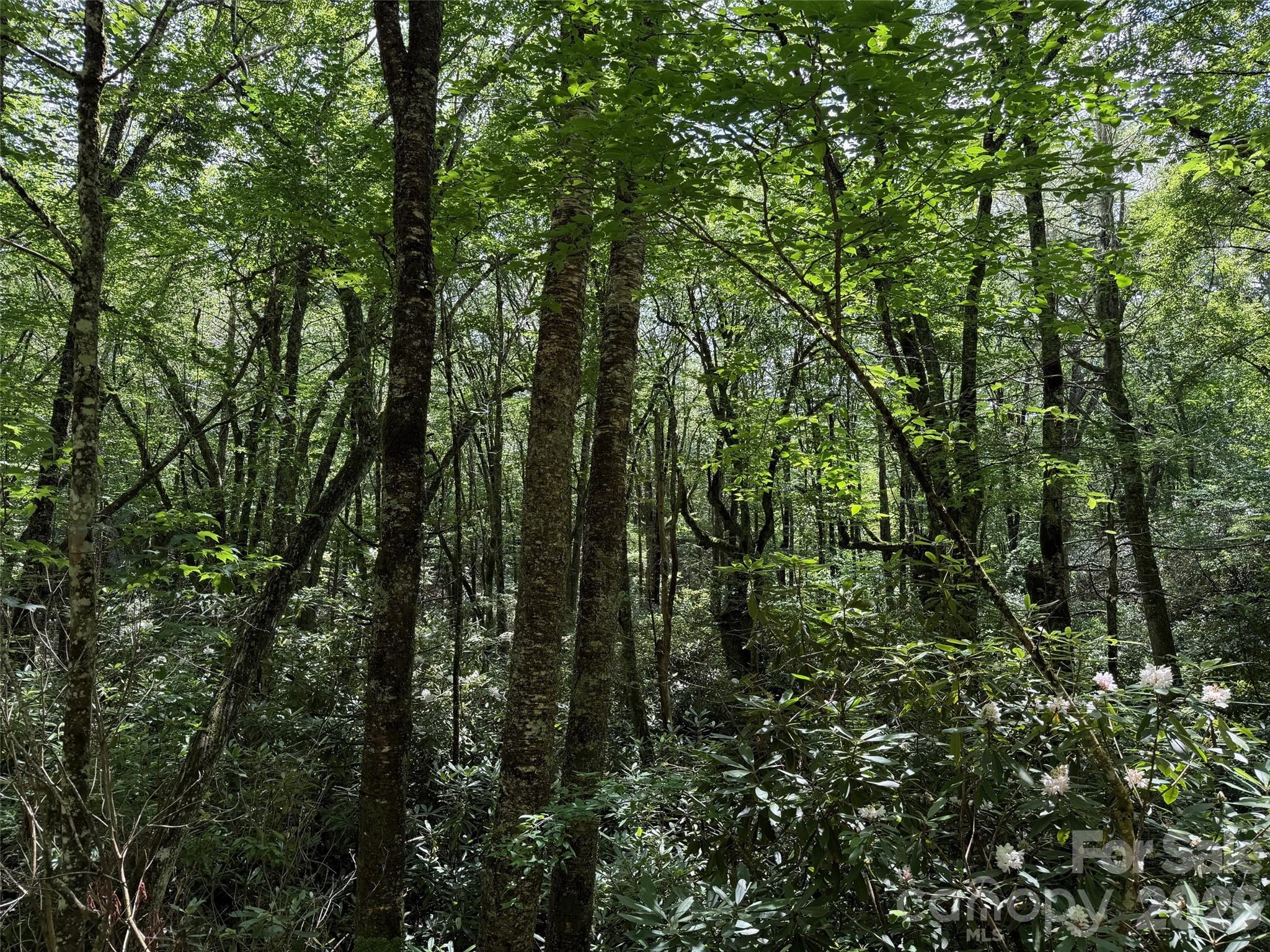 Lot #60 Yonder Trail Maggie Valley NC 28751