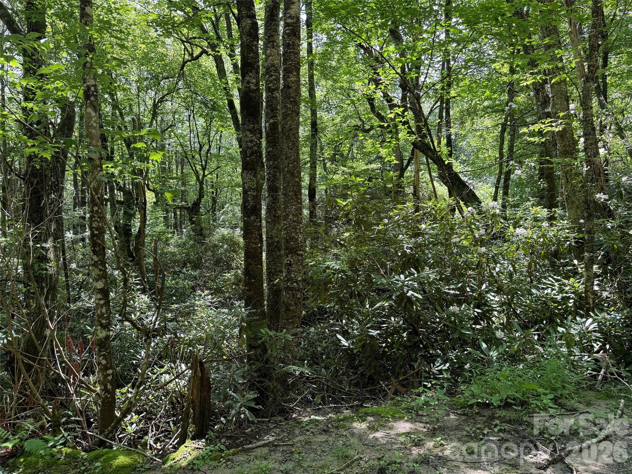 Lot #60 Yonder Trail Maggie Valley NC 28751