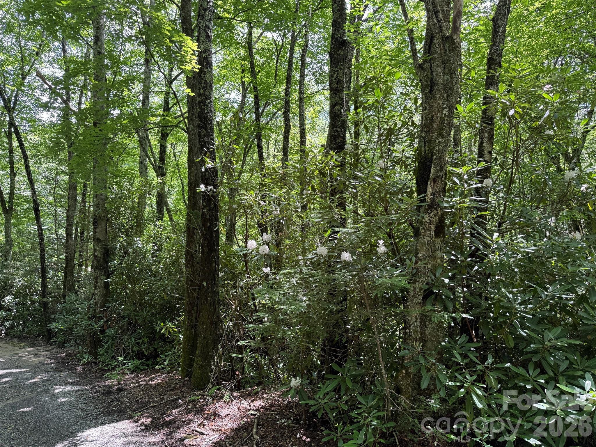 Lot #60 Yonder Trail Maggie Valley NC 28751