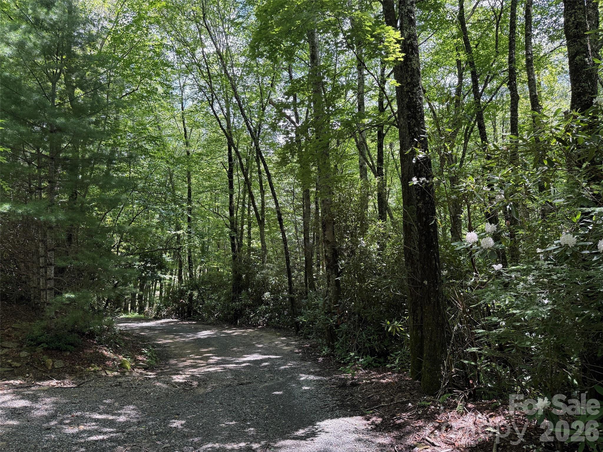 Lot #60 Yonder Trail Maggie Valley NC 28751