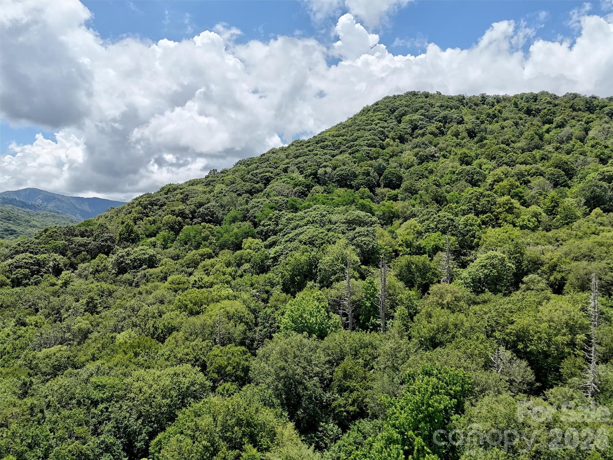 Lot #60 Yonder Trail Maggie Valley NC 28751