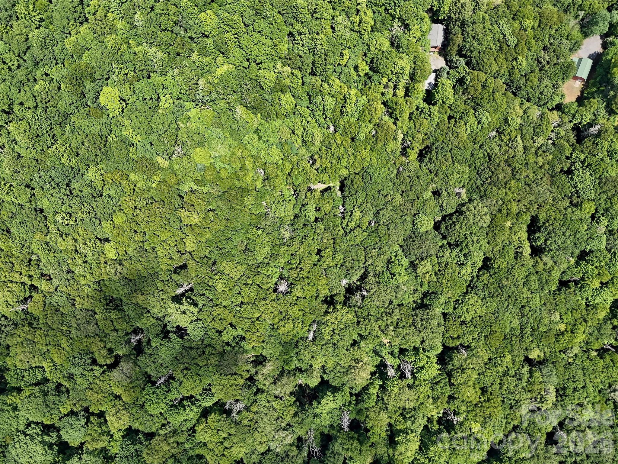 Lot #60 Yonder Trail Maggie Valley NC 28751
