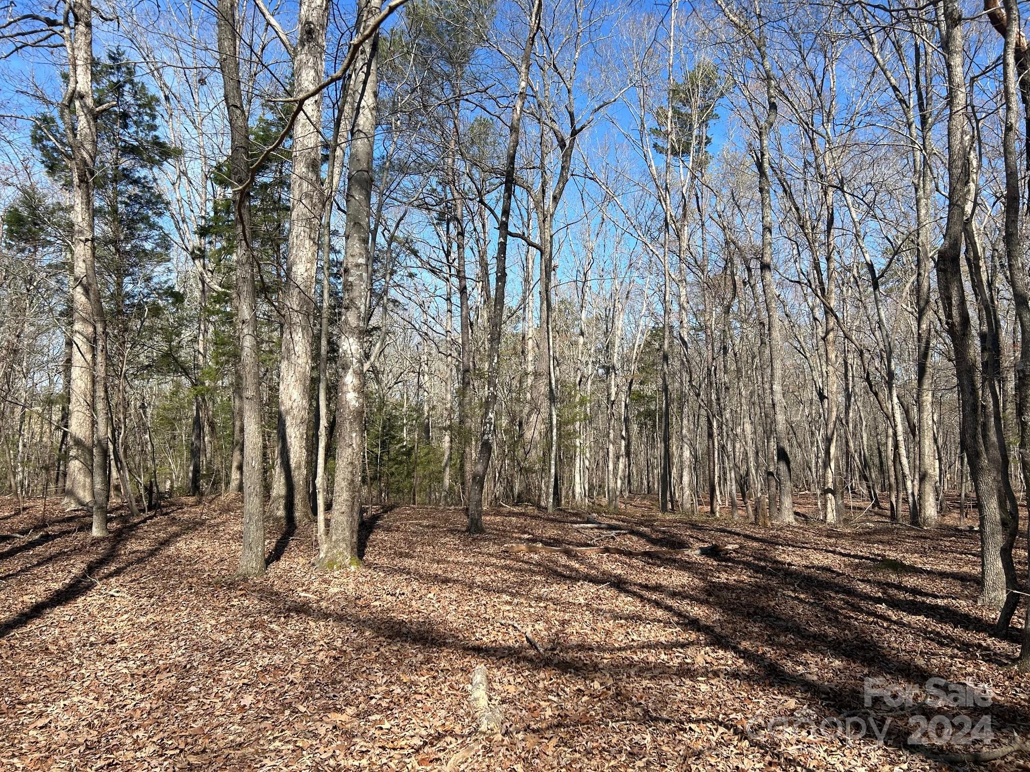 4 Ac Ashley Road Indian Land SC 29707