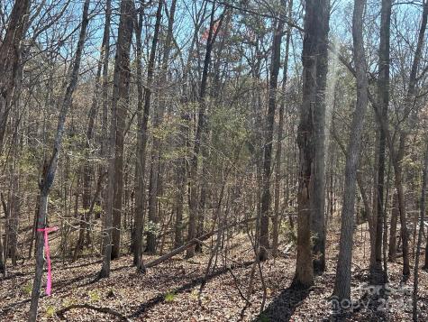 4 Ac Ashley Road Indian Land SC 29707