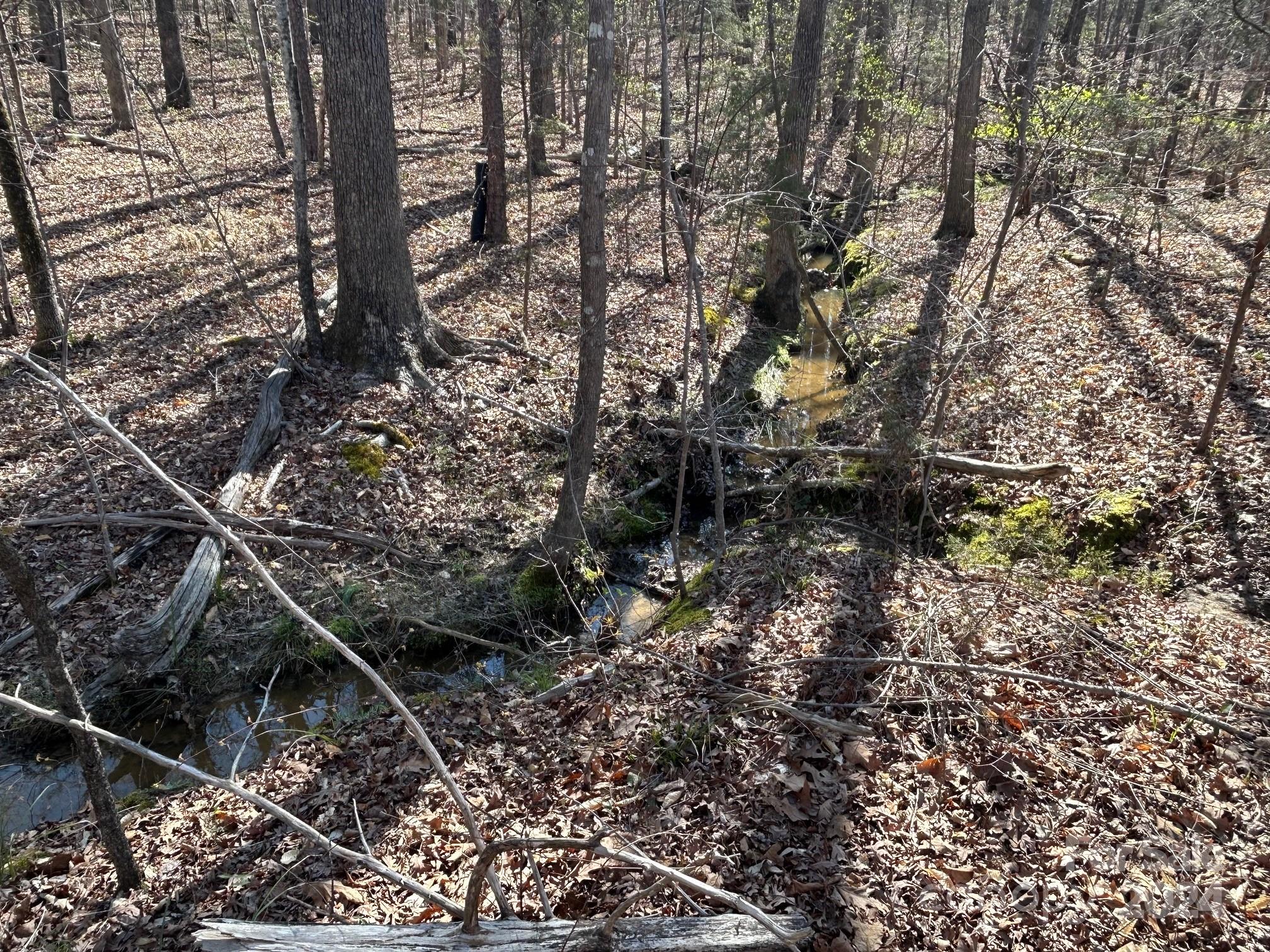 4 Ac Ashley Road Indian Land SC 29707