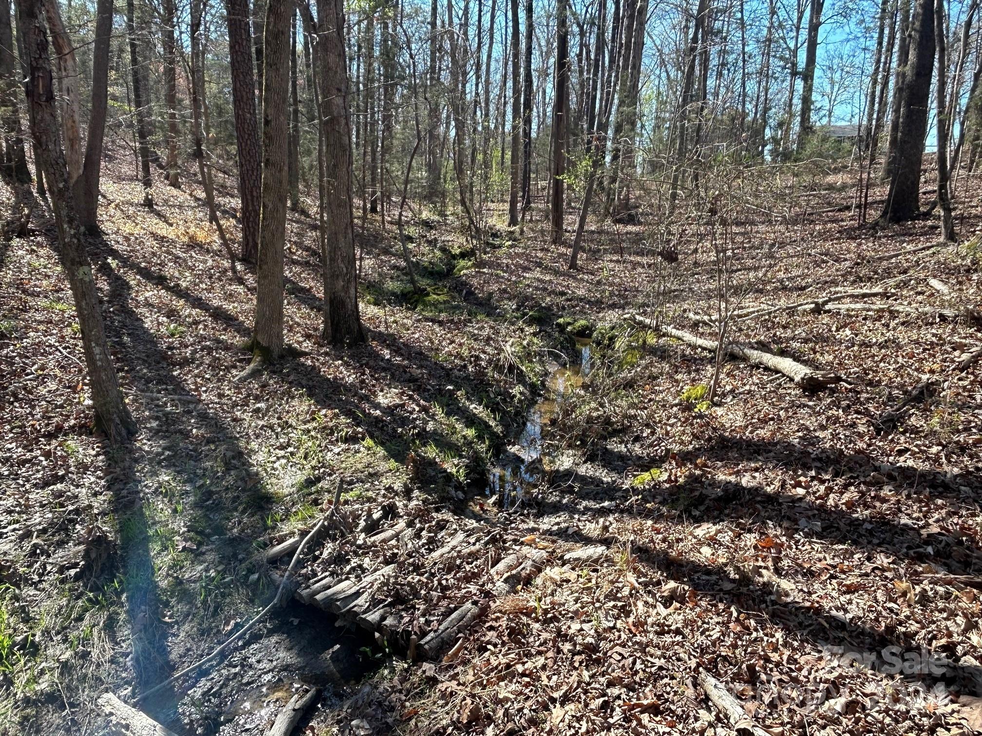 4 Ac Ashley Road Indian Land SC 29707
