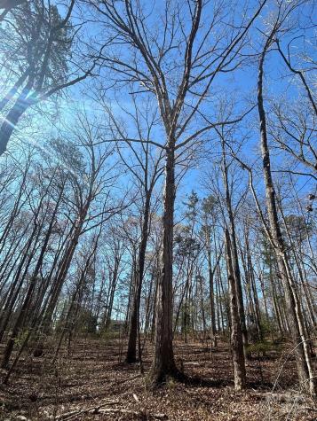 4 Ac Ashley Road Indian Land SC 29707