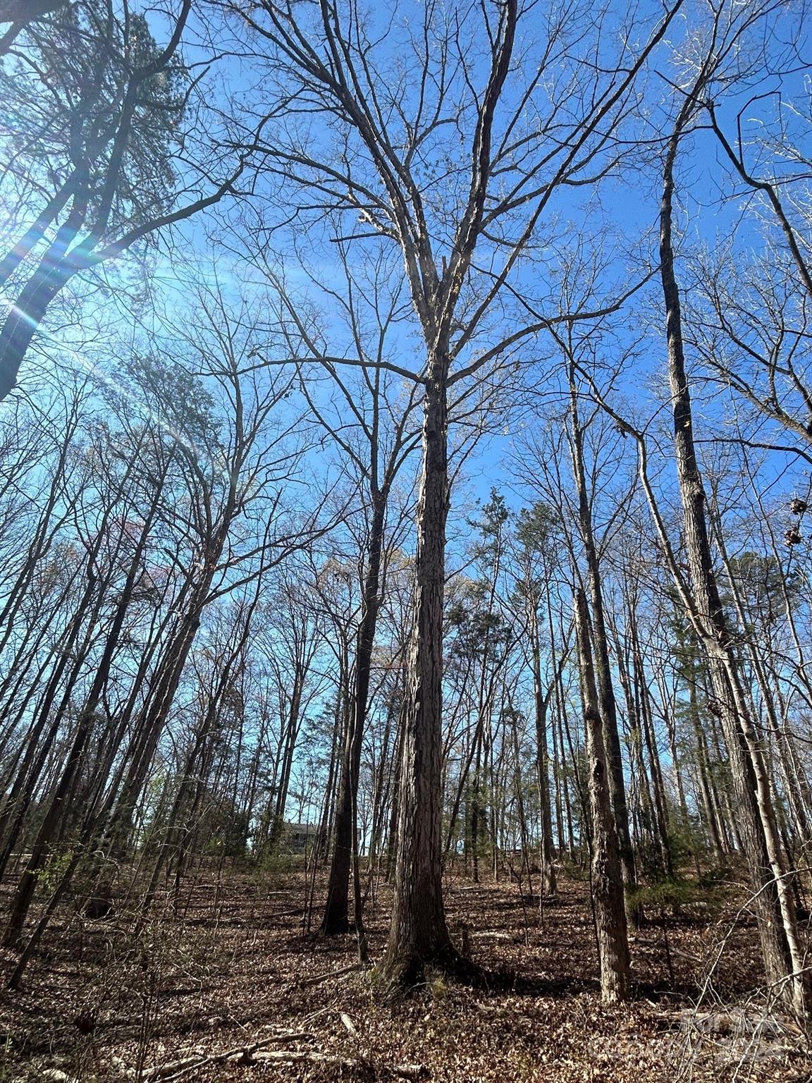 4 Ac Ashley Road Indian Land SC 29707