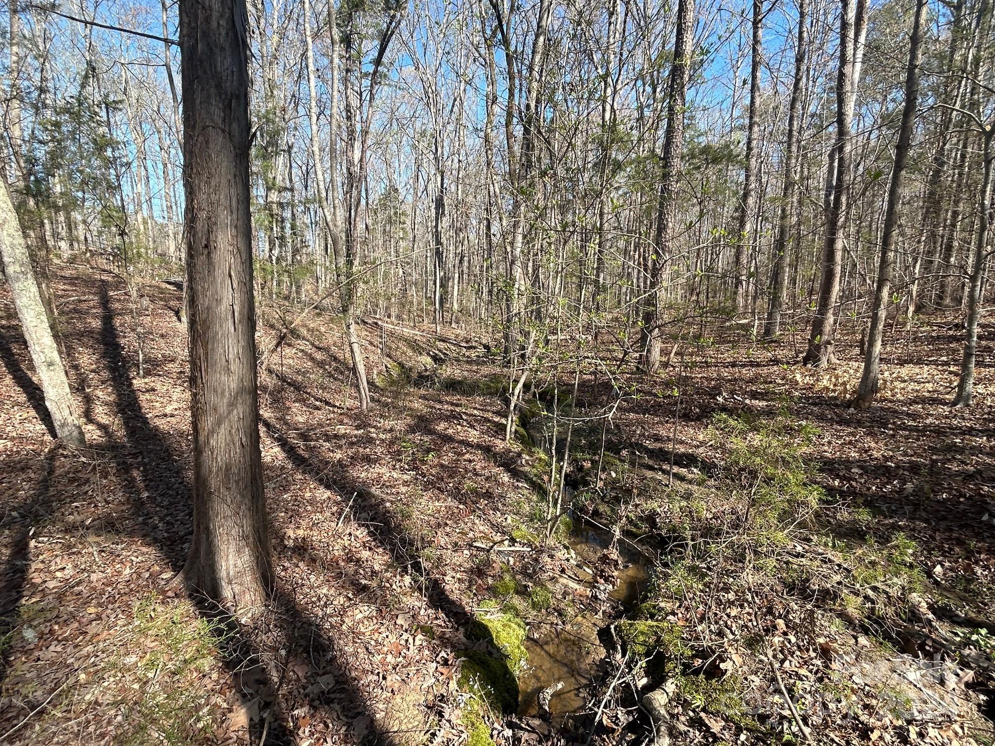 4 Ac Ashley Road Indian Land SC 29707