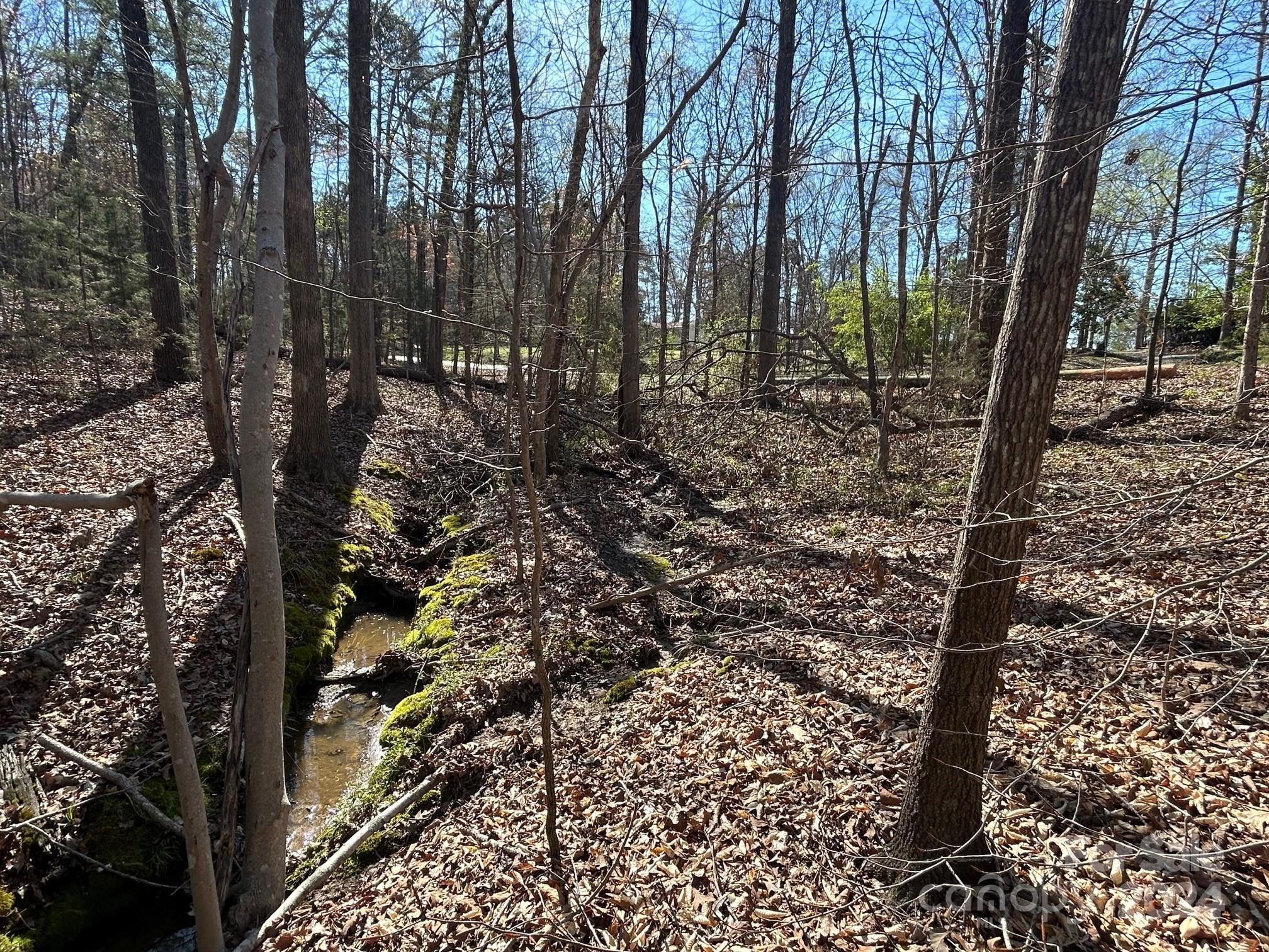 4 Ac Ashley Road Indian Land SC 29707