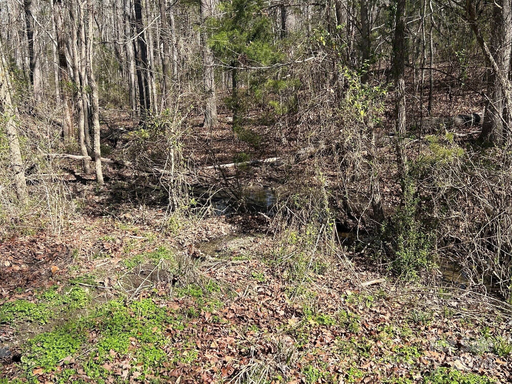 4 Ac Ashley Road Indian Land SC 29707