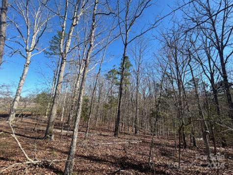 4 Ac Ashley Road Indian Land SC 29707