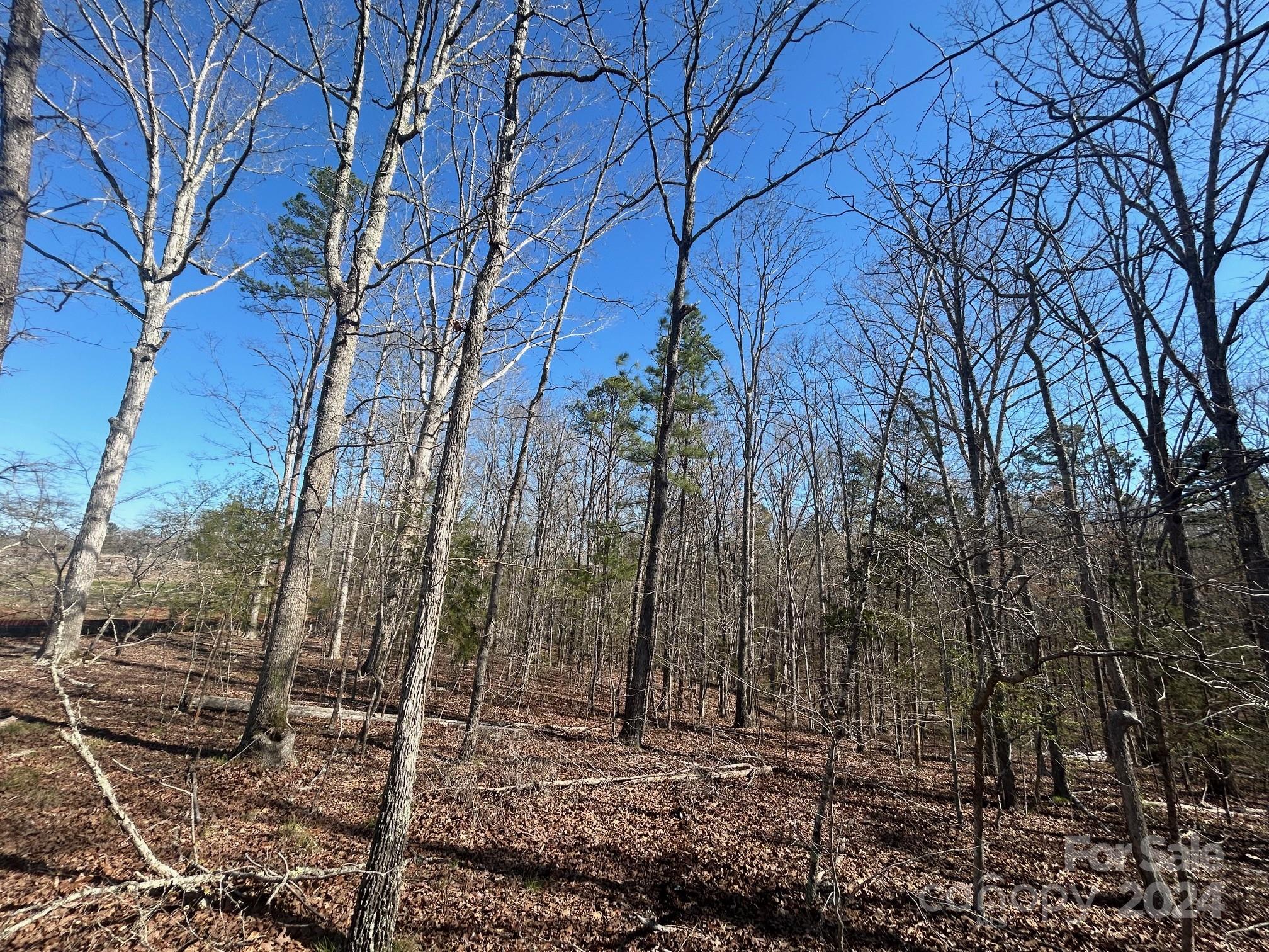 4 Ac Ashley Road Indian Land SC 29707