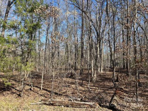 4 Ac Ashley Road Indian Land SC 29707