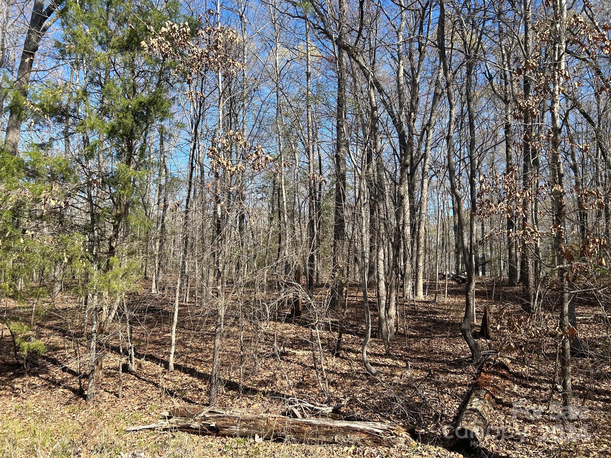 4 Ac Ashley Road Indian Land SC 29707