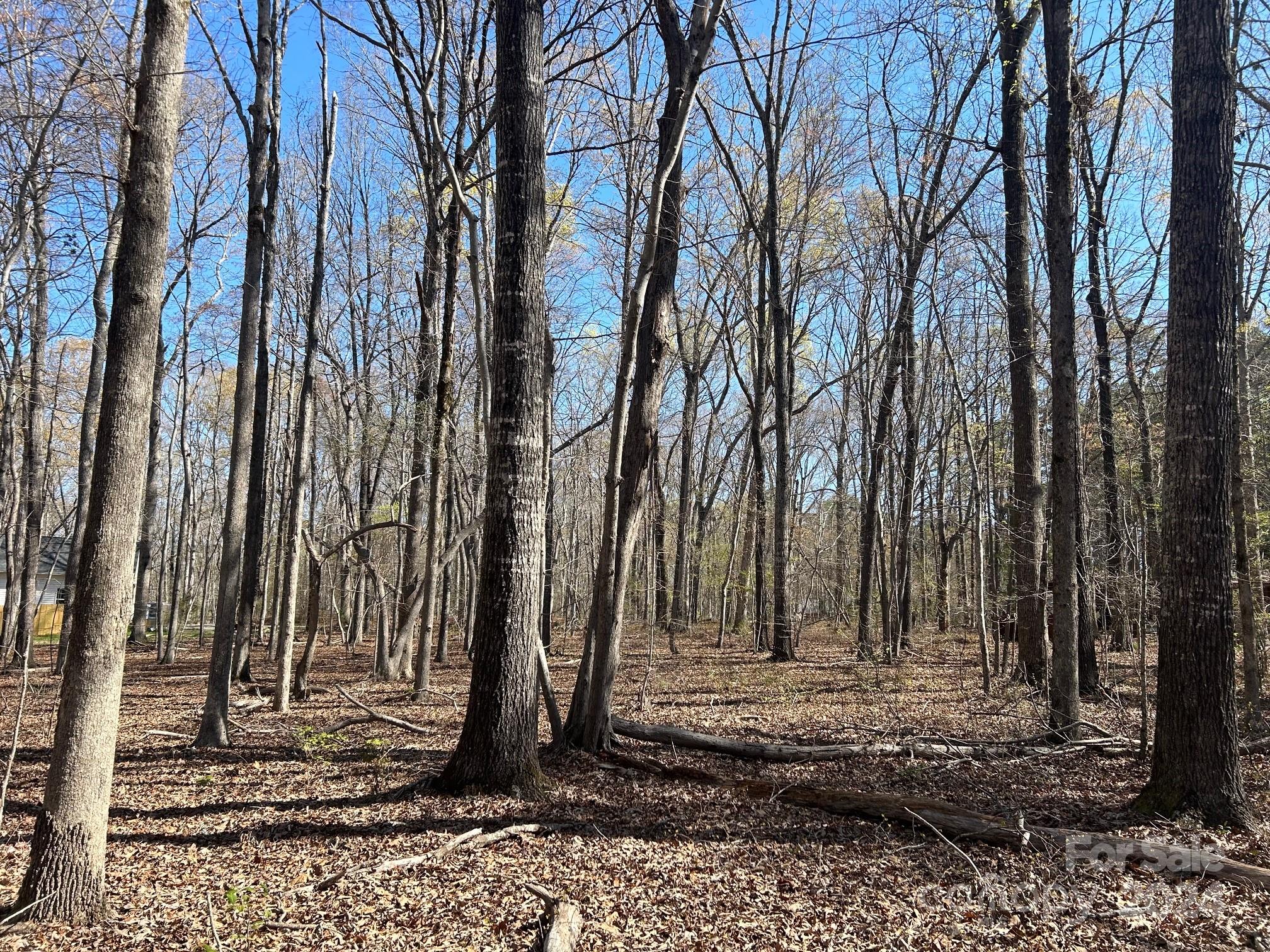 4 Ac Ashley Road Indian Land SC 29707