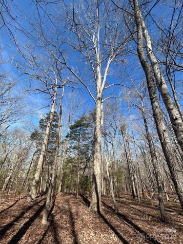 4 Ac Ashley Road Indian Land SC 29707