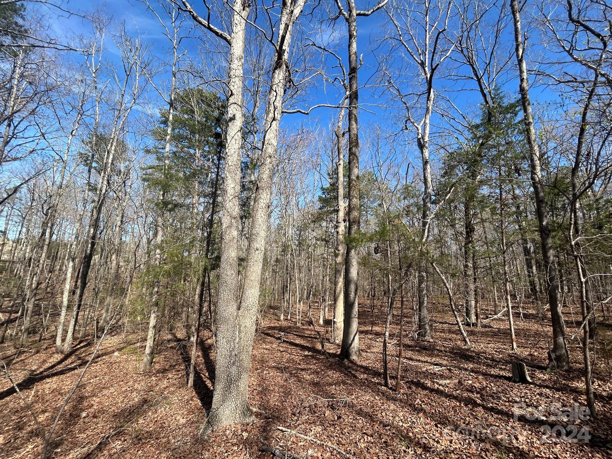 4 Ac Ashley Road Indian Land SC 29707