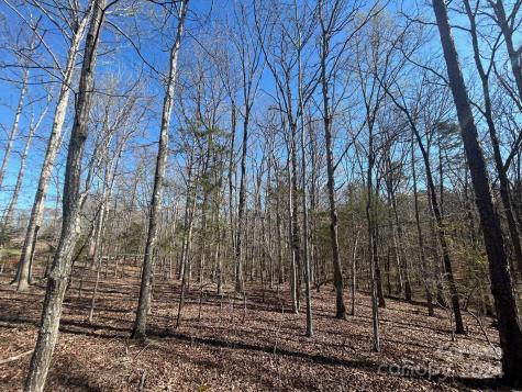 4 Ac Ashley Road Indian Land SC 29707