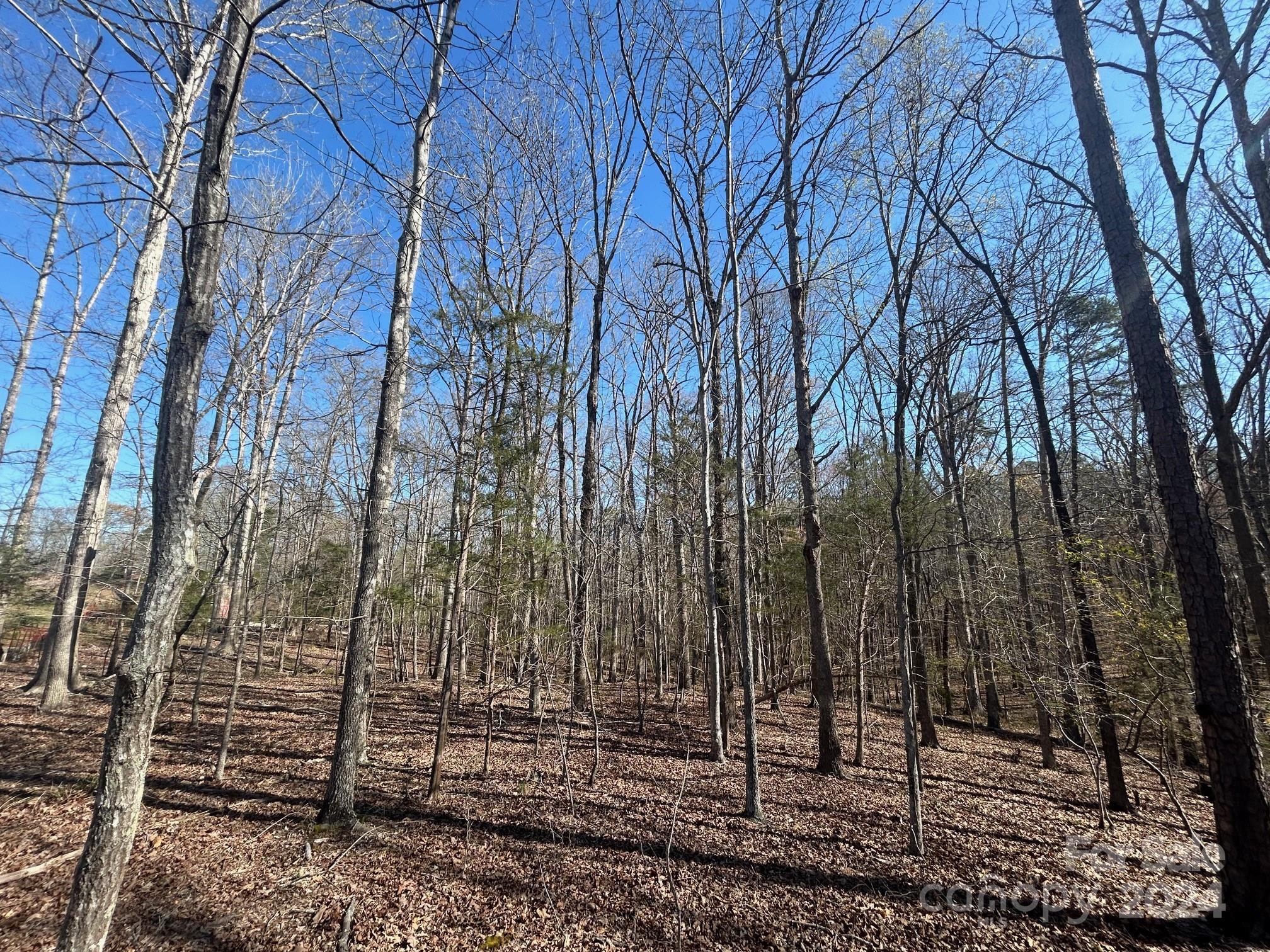 4 Ac Ashley Road Indian Land SC 29707