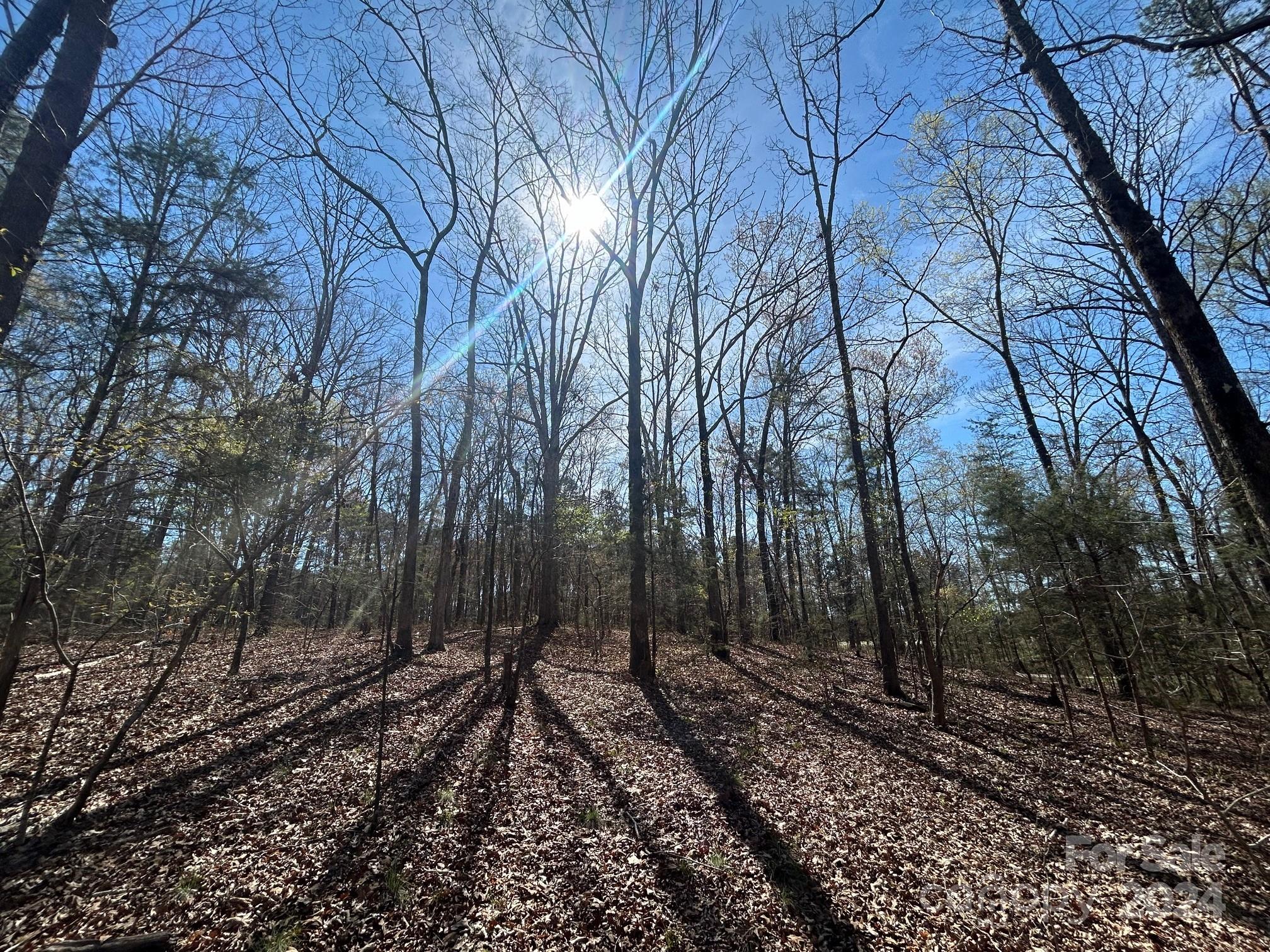 4 Ac Ashley Road Indian Land SC 29707