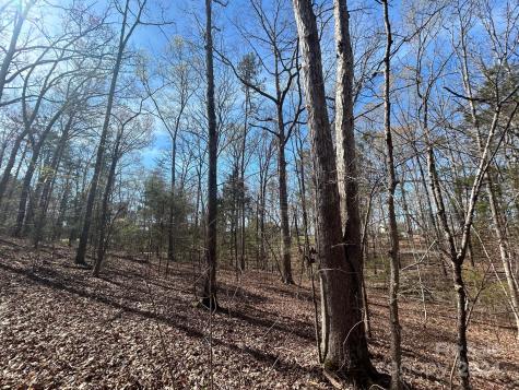 4 Ac Ashley Road Indian Land SC 29707