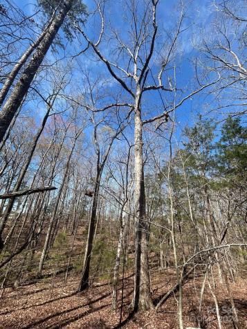 4 Ac Ashley Road Indian Land SC 29707