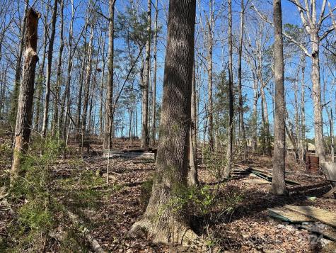 4 Ac Ashley Road Indian Land SC 29707