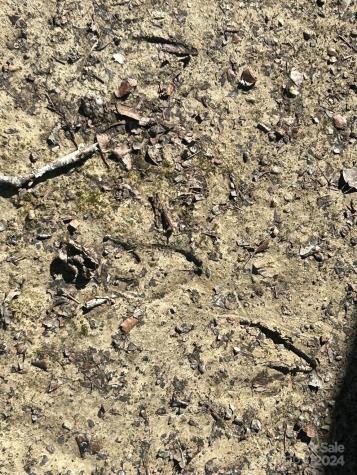 4 Ac Ashley Road Indian Land SC 29707