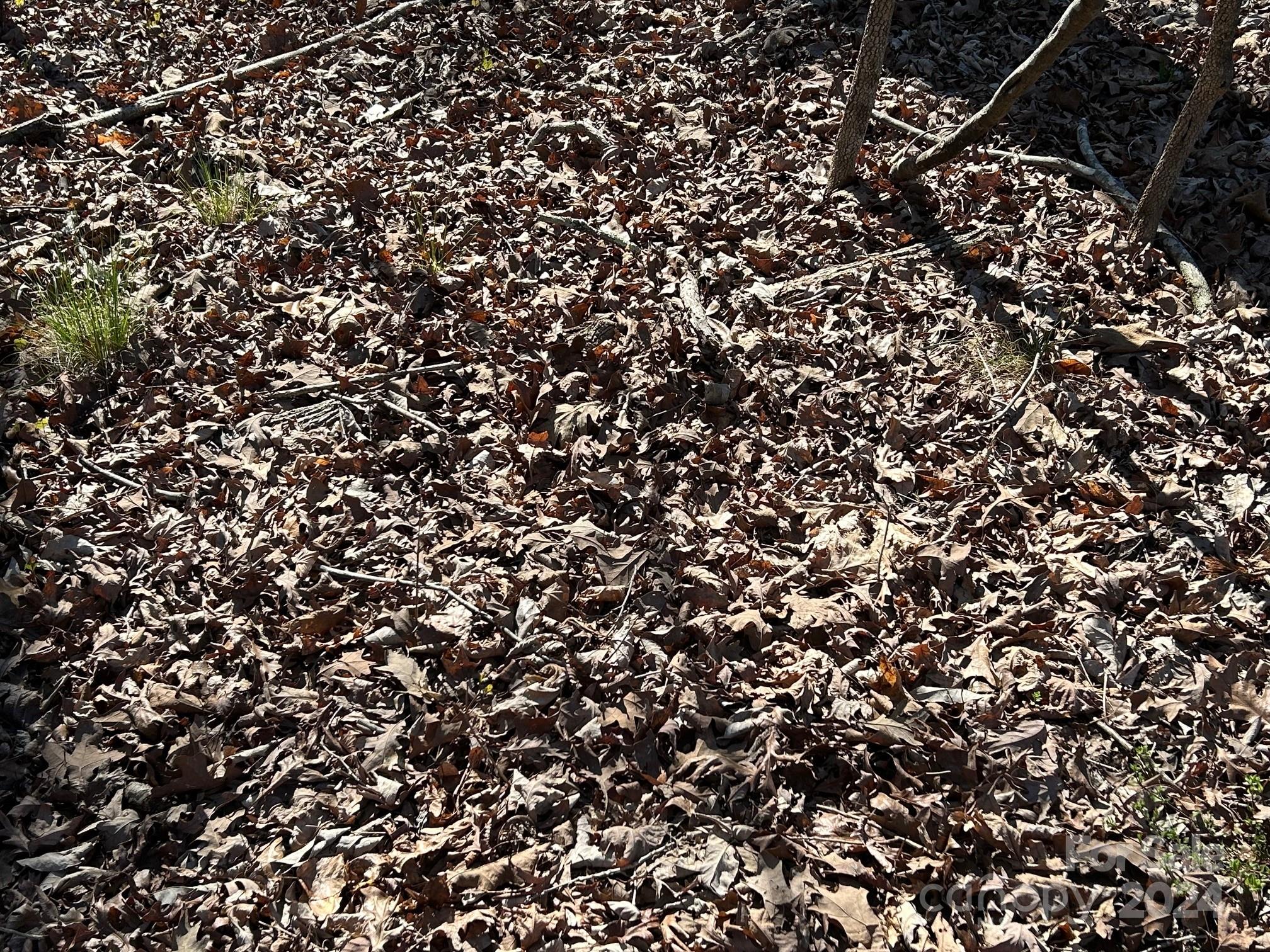 4 Ac Ashley Road Indian Land SC 29707