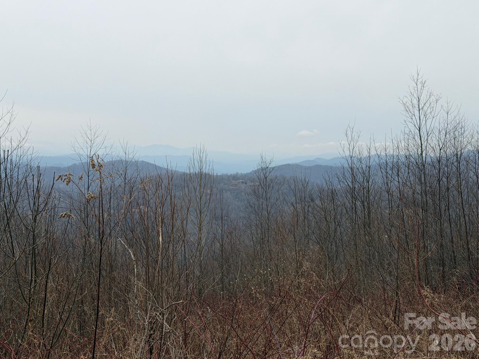 50 Scenic Wolf Ridge Road Mars Hill NC 28754