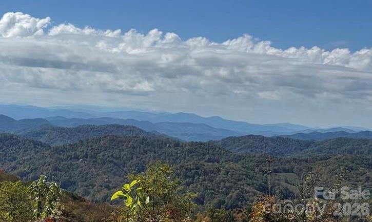 50 Scenic Wolf Ridge Road Mars Hill NC 28754