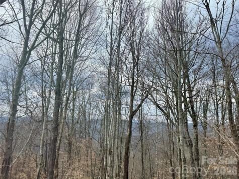 50 Scenic Wolf Ridge Road Mars Hill NC 28754