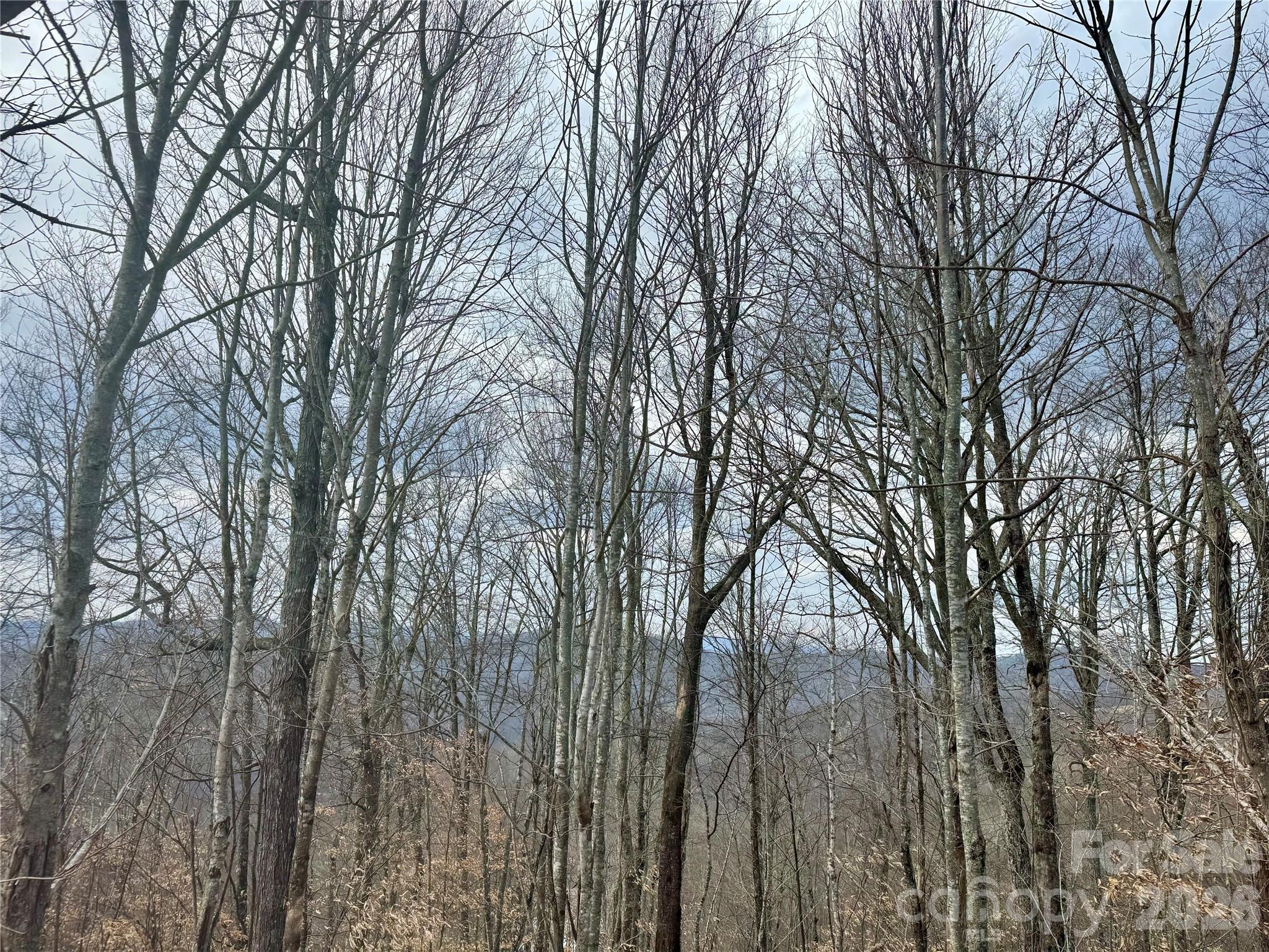 50 Scenic Wolf Ridge Road Mars Hill NC 28754