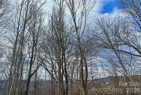 50 Scenic Wolf Ridge Road Mars Hill NC 28754