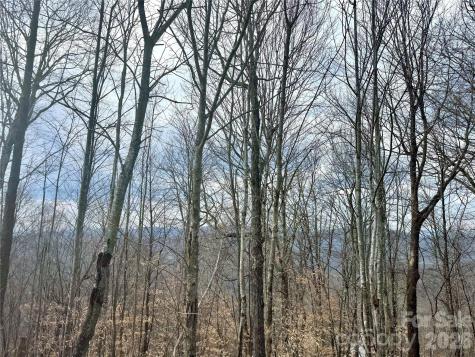 50 Scenic Wolf Ridge Road Mars Hill NC 28754