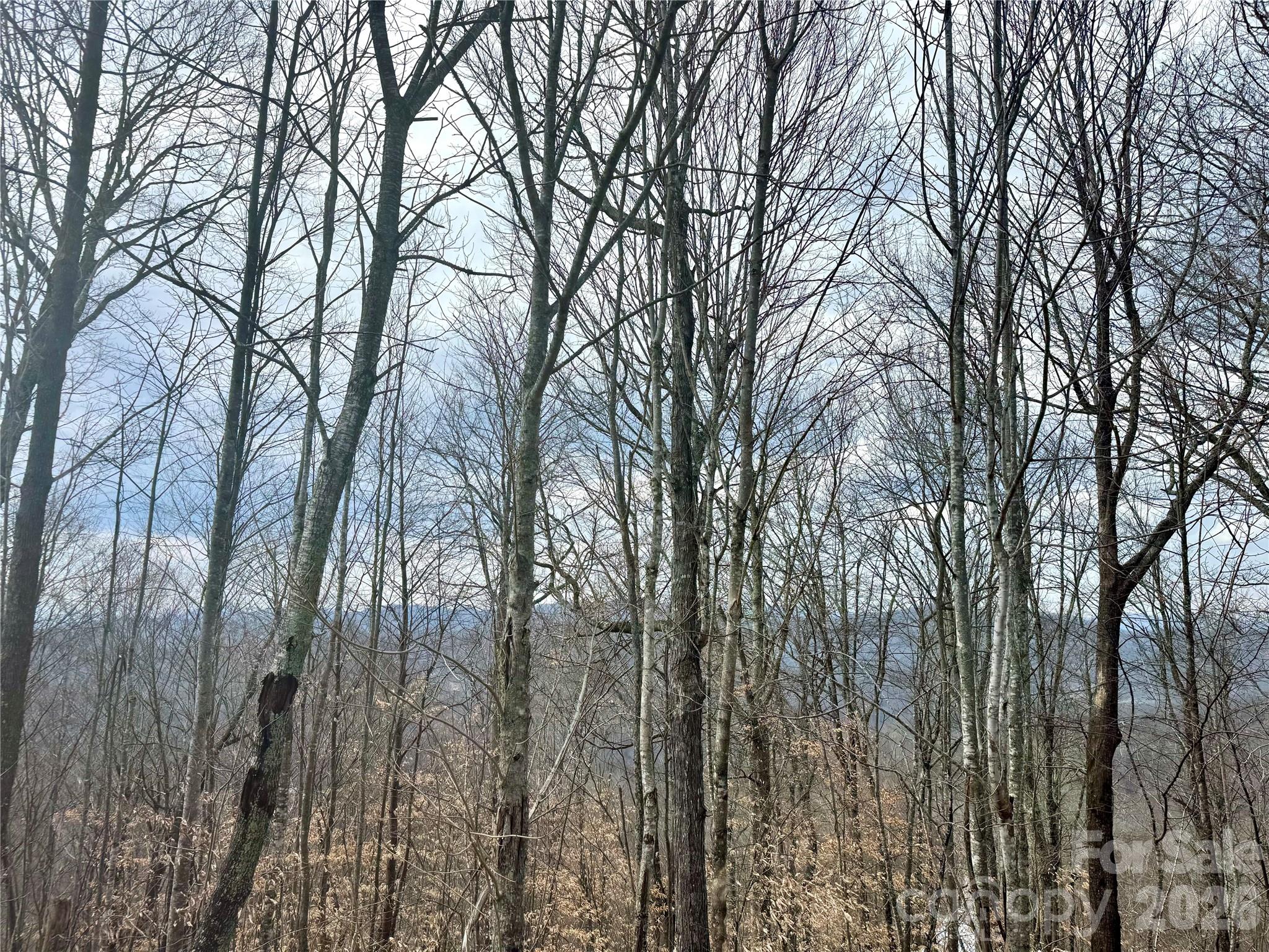 50 Scenic Wolf Ridge Road Mars Hill NC 28754