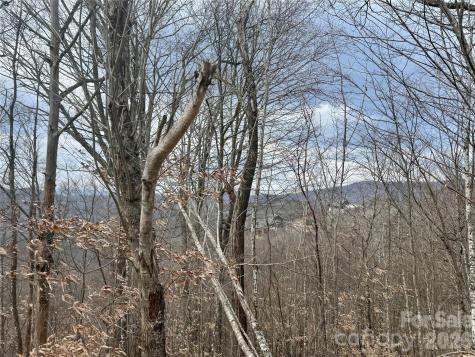 50 Scenic Wolf Ridge Road Mars Hill NC 28754