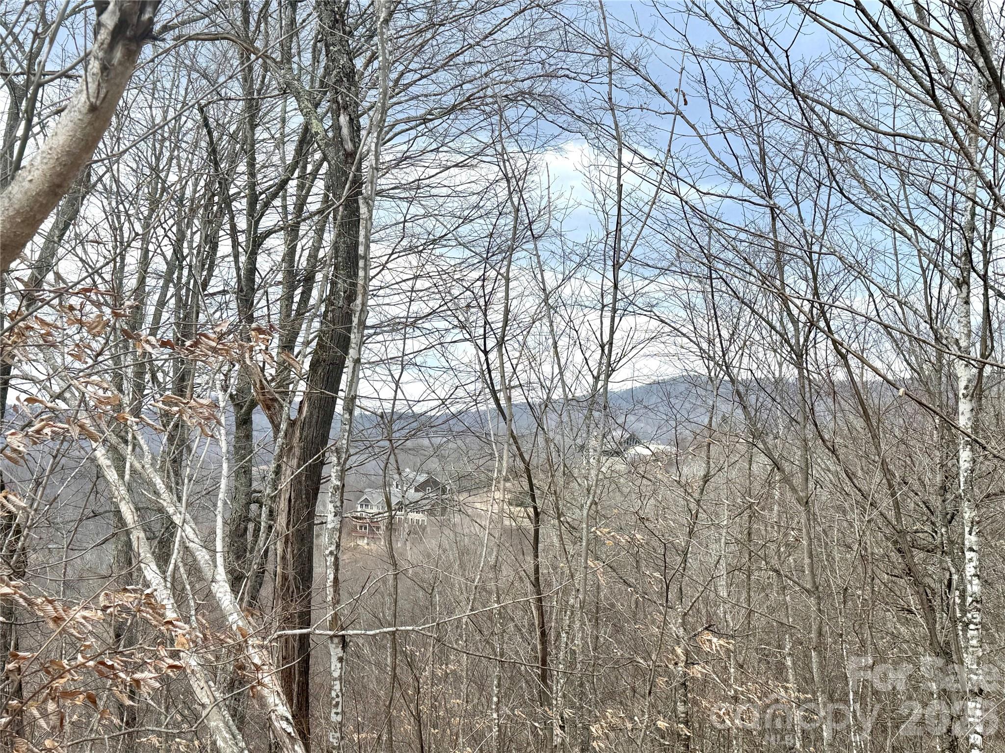 50 Scenic Wolf Ridge Road Mars Hill NC 28754