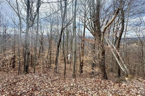 50 Scenic Wolf Ridge Road Mars Hill NC 28754