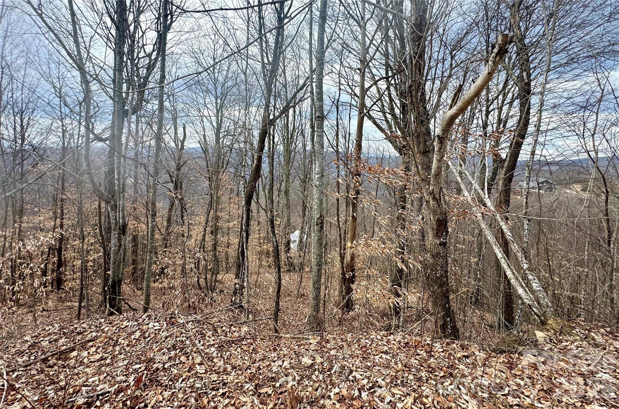 50 Scenic Wolf Ridge Road Mars Hill NC 28754