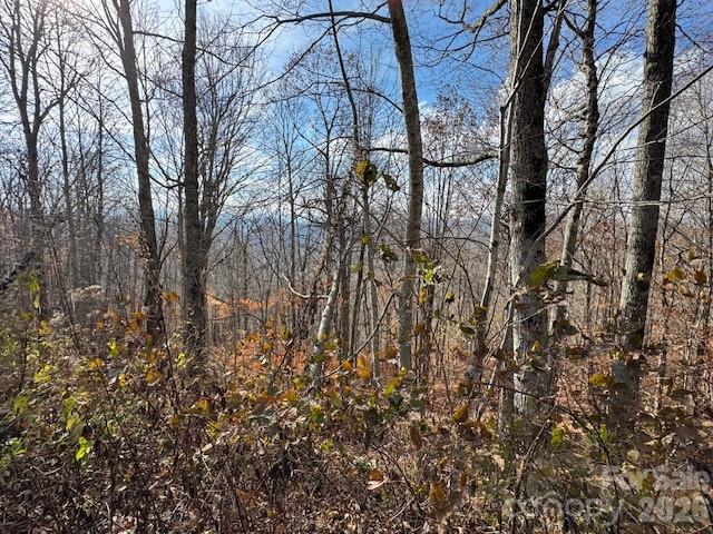 50 Scenic Wolf Ridge Road Mars Hill NC 28754