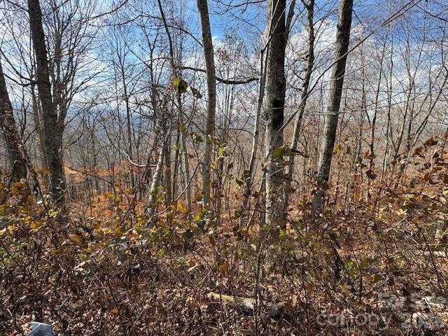 50 Scenic Wolf Ridge Road Mars Hill NC 28754