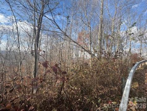50 Scenic Wolf Ridge Road Mars Hill NC 28754