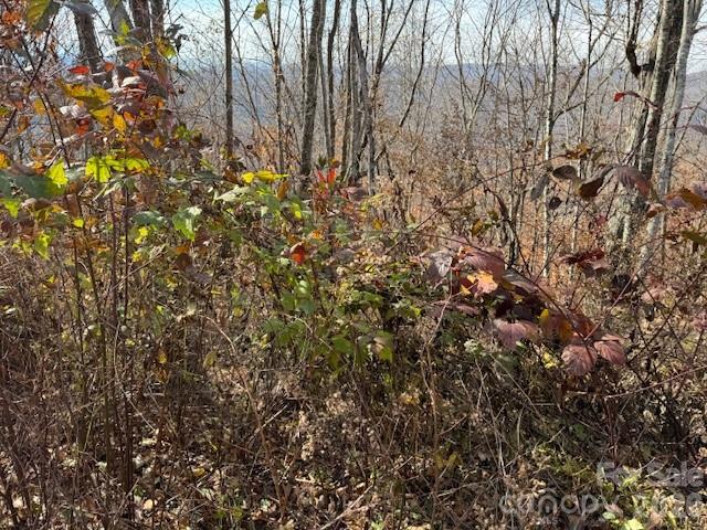 50 Scenic Wolf Ridge Road Mars Hill NC 28754