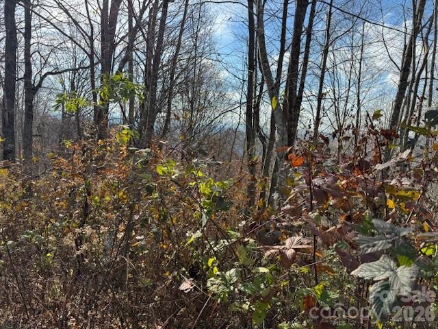 50 Scenic Wolf Ridge Road Mars Hill NC 28754