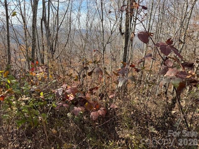 50 Scenic Wolf Ridge Road Mars Hill NC 28754