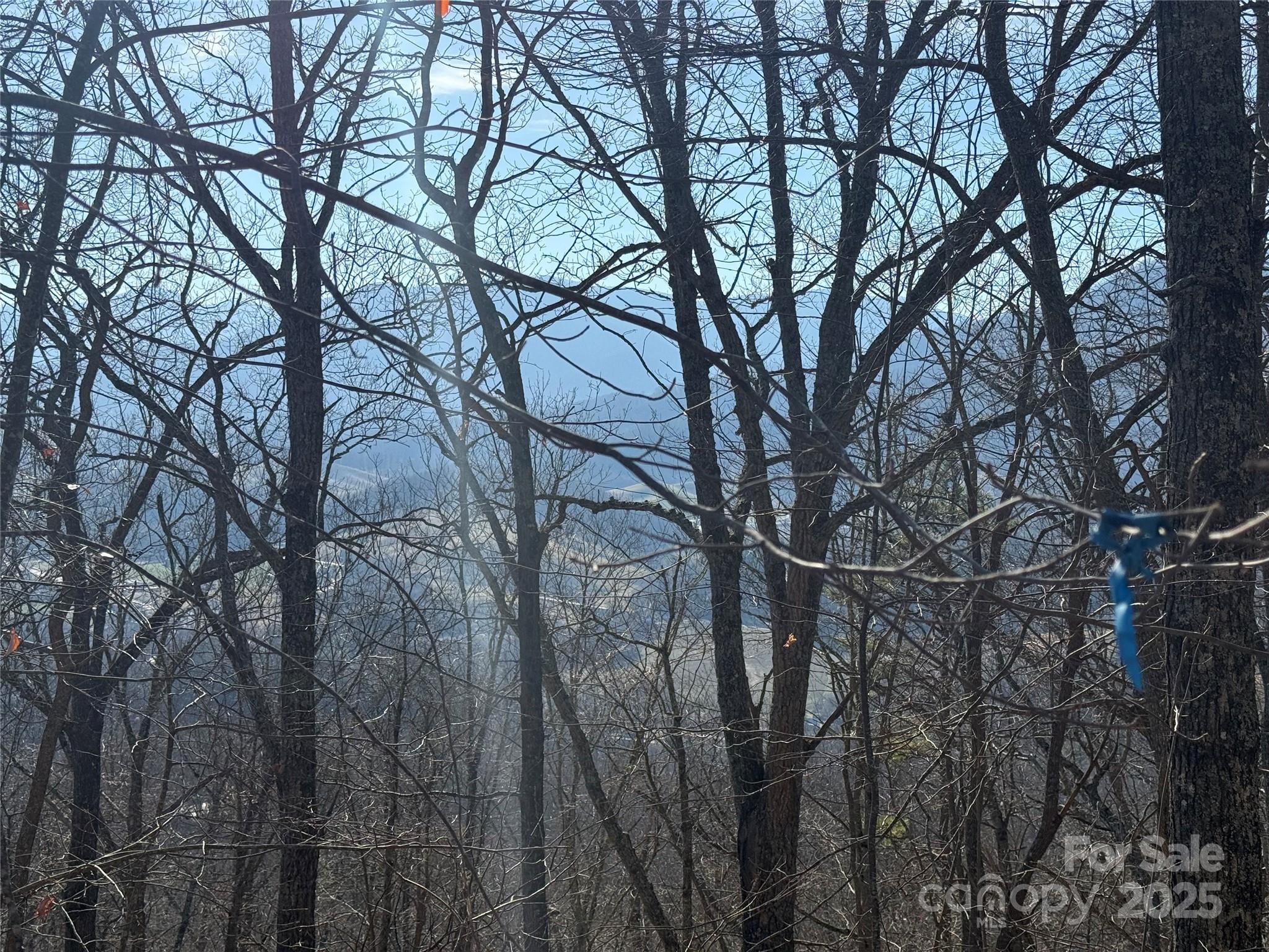 Lot 20 Brer Rabbit Trail Waynesville NC 28785